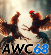 AWC68 Arcade